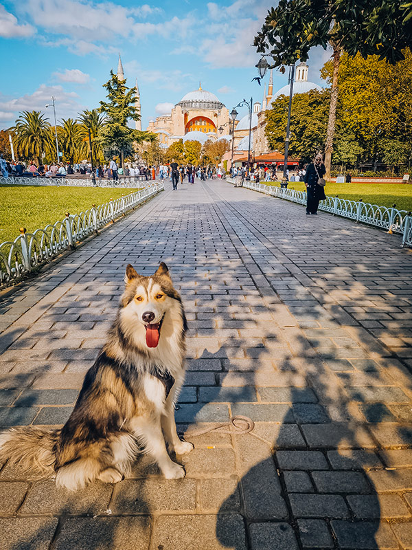 Sam vor der Hagia Sophia in Istanbul, Türkei