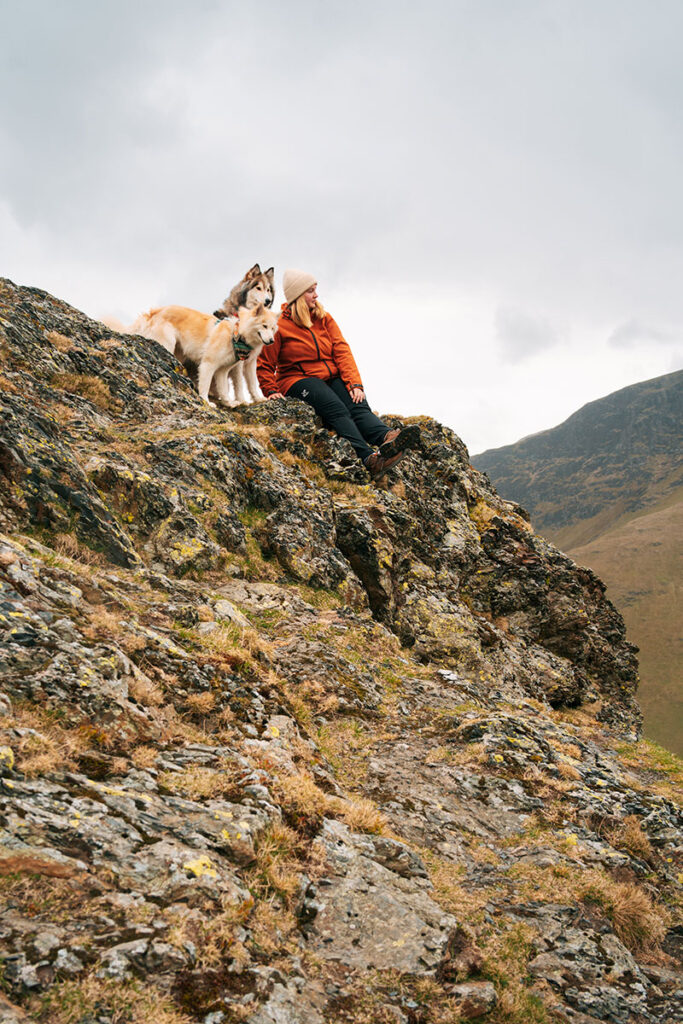 Wanderung mit Hunden im Lake District