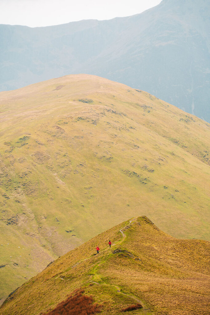 Wanderung mit Hunden im Lake District
