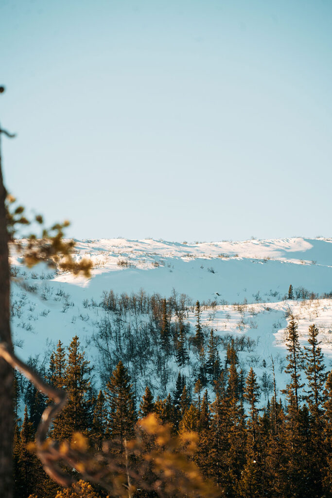 Wanderung zum Njupeskär Wasserfall im Winter