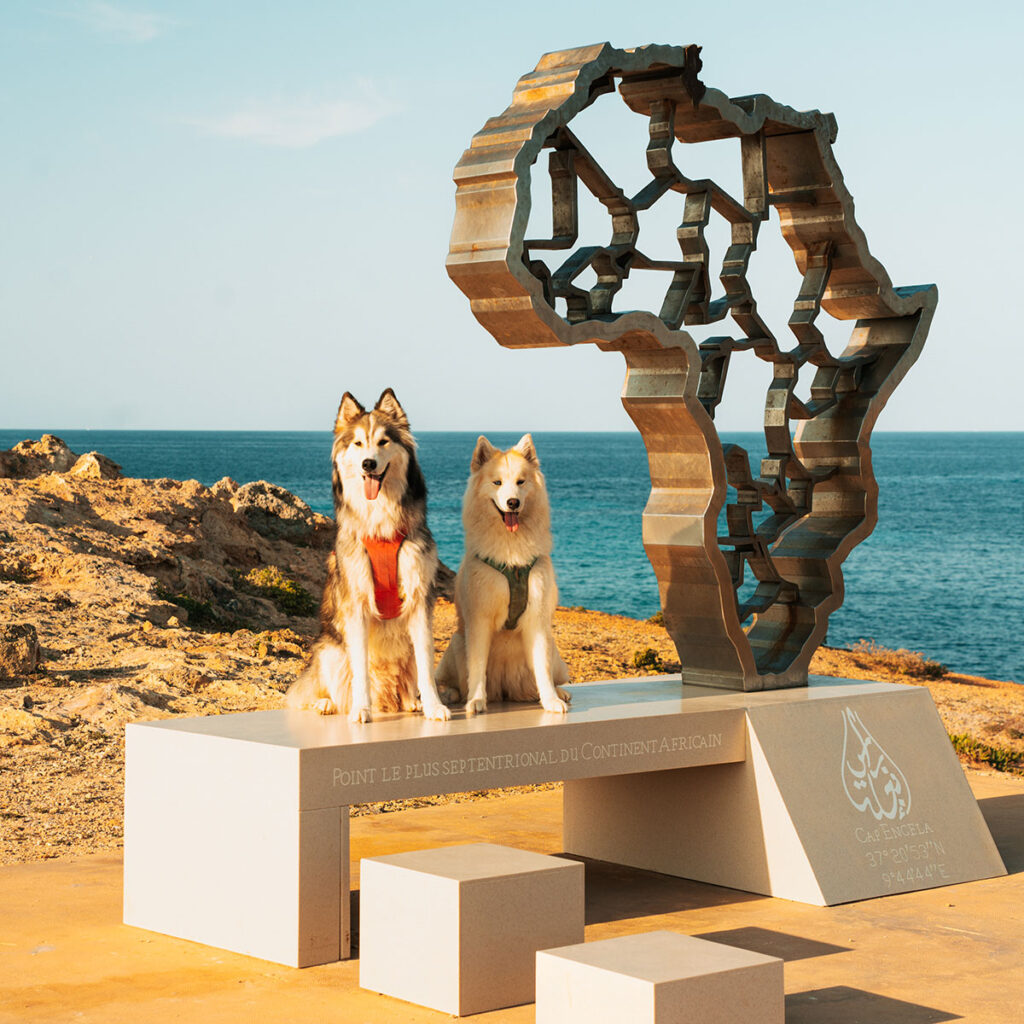 Mit Hund am Nordkap von Tunesien