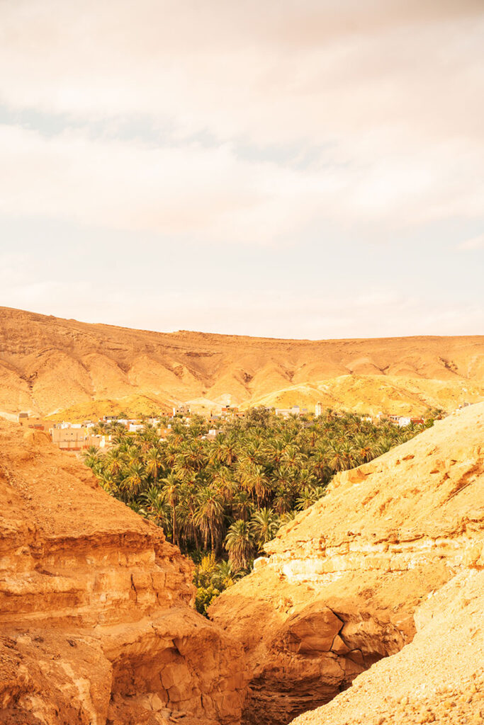 Abseits der Strasse | Tamaghza Oase in Tunesien