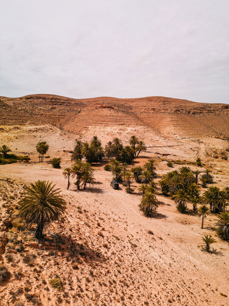 Abseits der Strasse | Wildcampen in einer Oase bei Chenini, Tunesien