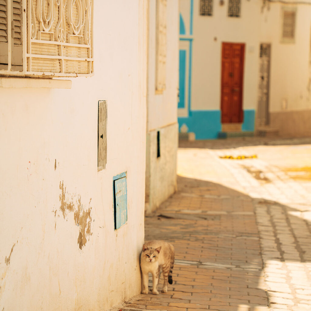 Durch die Medina in Kairouan, Tunesien